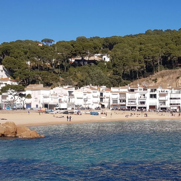 Activitats a Tamariu - Estiu 2025 - Associació d'Amics i Veïns de ...