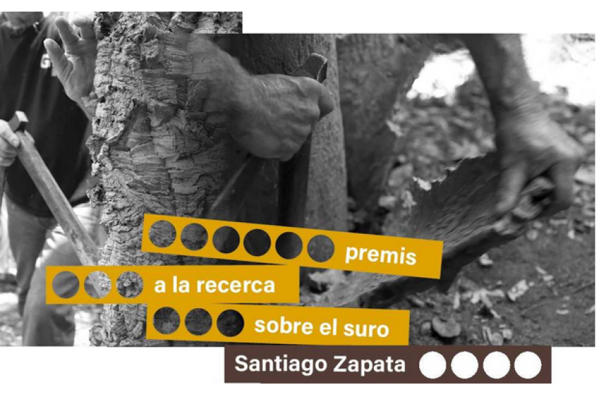 La Càtedra d’Estudis del Suro convoca els premis a la recerca “Santiago Zapata” 2024 La Càtedra d’Estudis del Suro convoca els premis a la recerca “Santiago Zapata” 2024