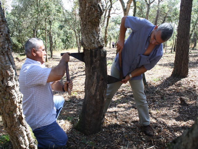 El nucli de Llofriu acull la Festa de la Pela del Suro que arriba a la seva 12a edició