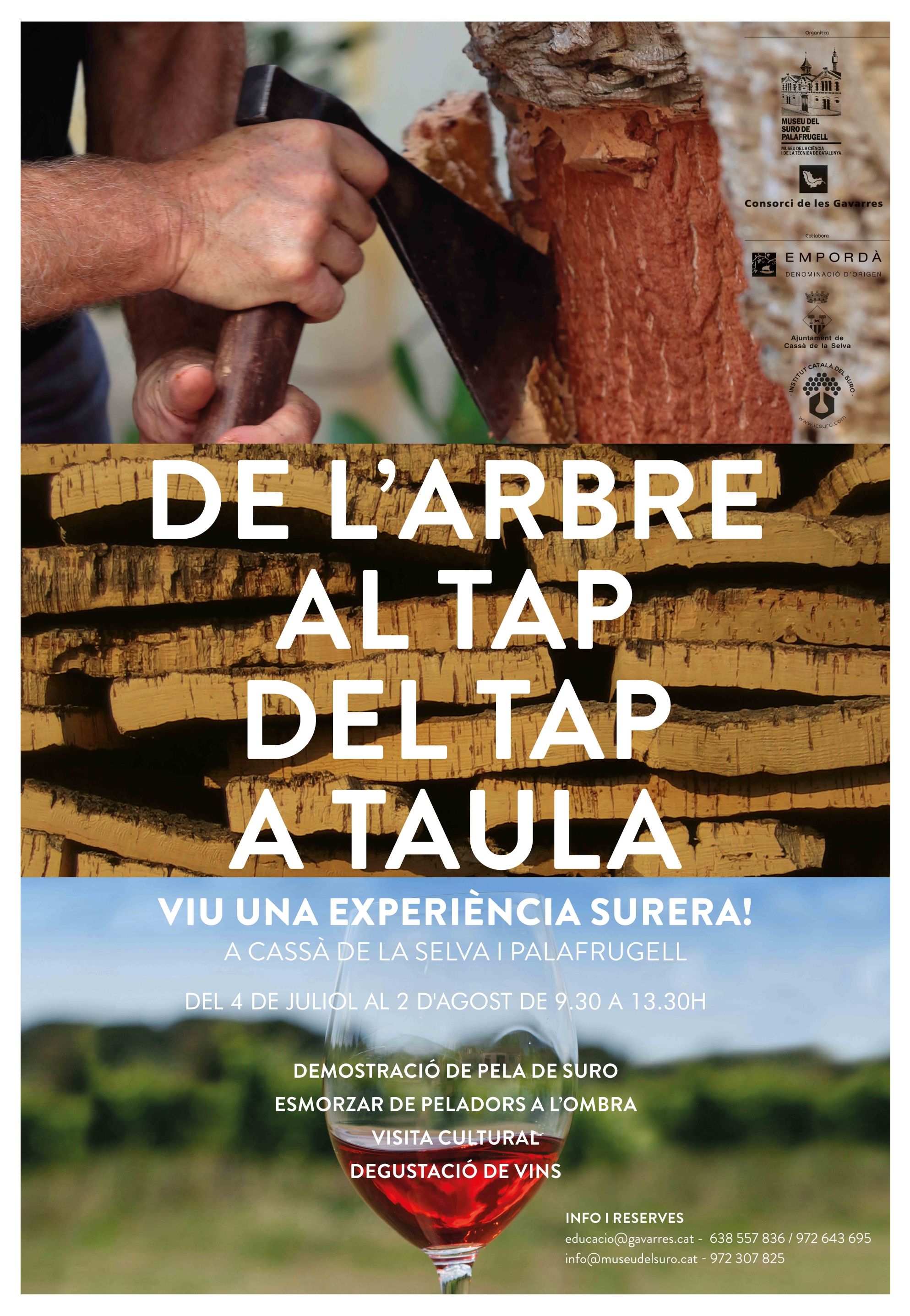 Tot a punt per a la segona edició de “De l’arbre al tap, del tap a taula”