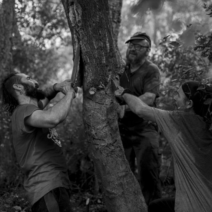Exposició “Sentir la Sureda” de Michele Curel