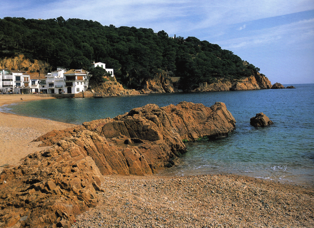 Festa Major de Tamariu 2023 - | Palafrugell Cultura | Agenda d ...