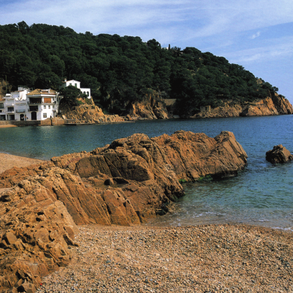 Festa Major de Tamariu 2023 - | Palafrugell Cultura | Agenda d ...