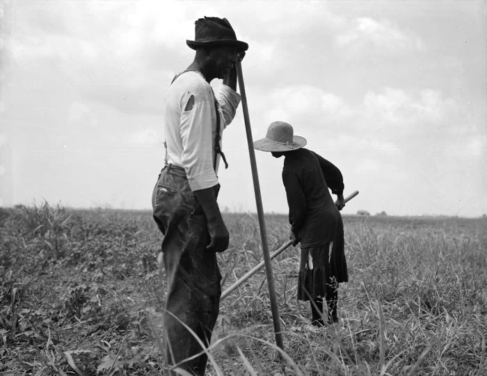 XIV Biennal de Fotografia Xavier Miserachs